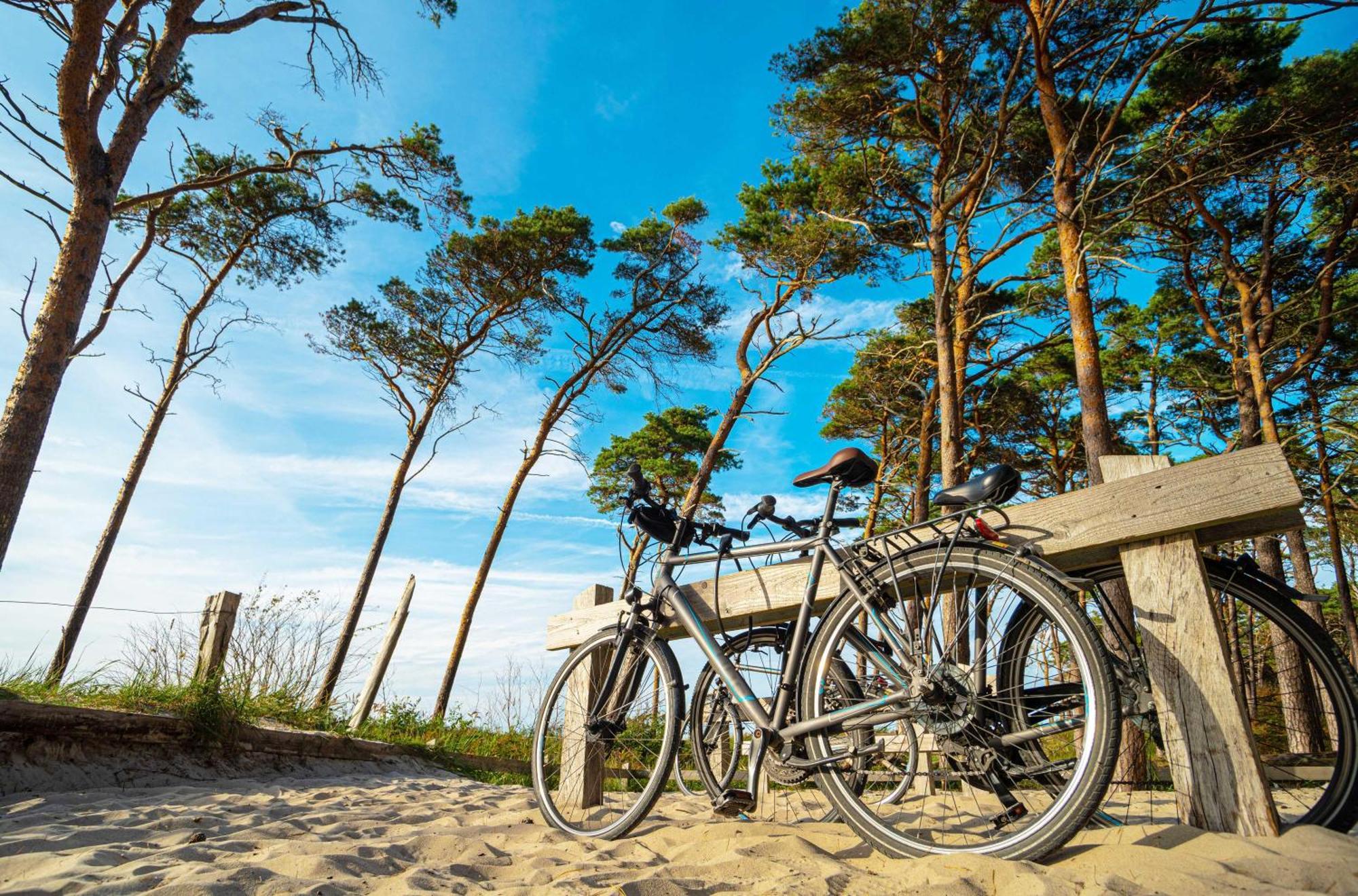 Grevenburg An Der Seebruecke Apartment Zingst